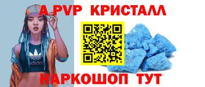 гашик Тверь